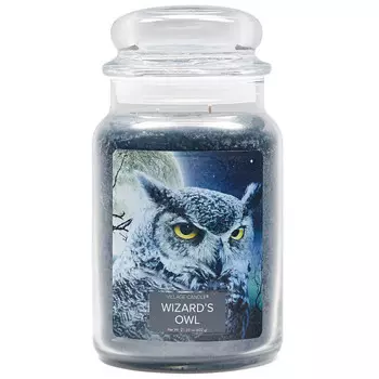 Village Candle Ароматическая свеча большая Волшебная Сова