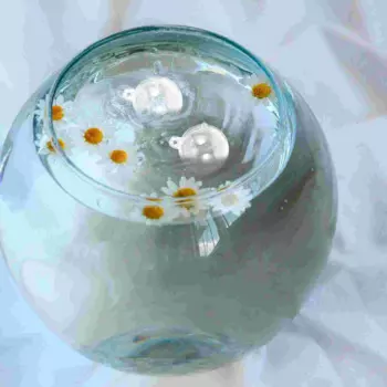 10 Pcs Floating Balls Props Clear Plastic naments Fillable Balls Fish Tank Accessories Aquarium Decorations Home Garden Pet