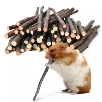 50g Hamster Rabbit Teeth Grinding Apple Tree Stick Molar Chew Toys Branch Perches Chew Bite Toys Stick Small Animals Toy