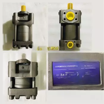 Подходит для Японии оригинальный шестеренный насос Sumitomo QT52-50F-BP-Z Масляный насос Sumitomo Sumitomo QT52-40F-BP-Z