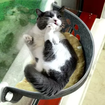 Большой Гамак для кошек, подвесная кошачья кровать, котята, домик-Когтеточка, пушистый коврик, аксессуары для домашних животных, товары для игрушек