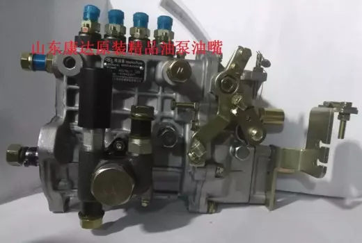 Быстрая доставка BH4QT85R9 4QT275BZ-1 инжекторный насос дизельный двигатель Xinchai A498BPG костюм двигателя с водяным охлаждением для всех китайских двигателей