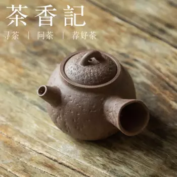Чайник ручной работы из зеленой пластыри с боковой ручкой Cha Xiang Ji