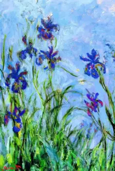 Деревянный пазл iris, 1000 шт., ersion, пазл, белая карта, взрослые, детские развивающие игрушки