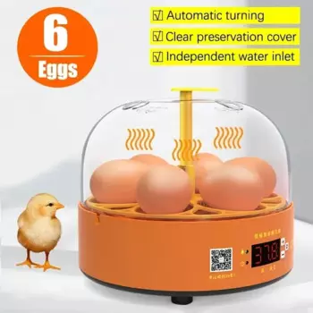 Инкубатор для контроля за яйцами, автоматический цифровой токарный инкубатор для обучения детей на ферме