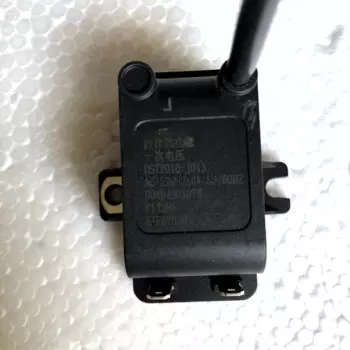 JSQ24-WA6 (12T) газовый водонагреватель pulse 220V, воспламенитель 0040490107B