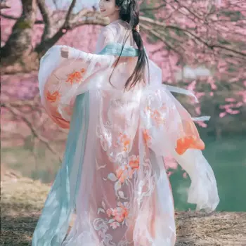 Юбка Chebula Hanfu для женщин, китайские традиционные китайские элементы, античная шелковая рубашка с рукавом, вышитая рубашка Hanfu, нагрудный костюм для женщин
