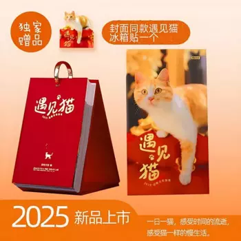 Календарь Meet The Cat 2025, новый маленький свежий календарь для кошек, инструкция по согреванию и исцелению, настольный календарь 2025