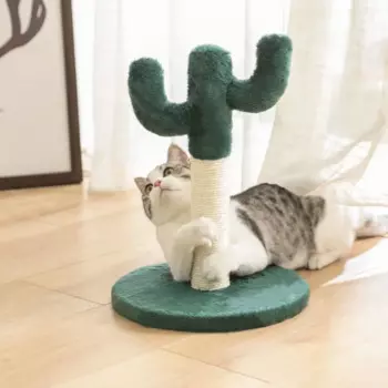 Когтеточка для кошек, котята, сизальная Когтеточка, игрушки, износостойкая Милая Когтеточка С КАКТУСОМ, подъем на стойку для кошек, товары для домашних животных