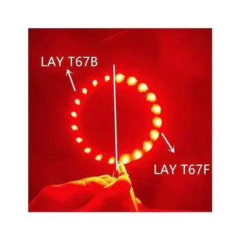 LAY T67F двухцветная светодиодная гирлянда