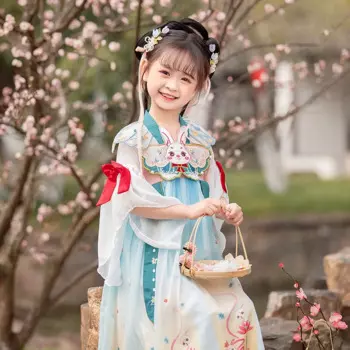 Летний костюм для девушек Hanfu, супер яркий костюм в китайском стиле с вышивкой кролика, костюм Тан