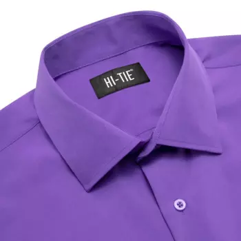Модная однотонная мужская шелковая рубашка Hi-Tie с отложным воротником и длинными рукавами, Высококачественная рубашка для мужчин, подарок, стандартная голубая зеленая розовая фиолетовая оранжевая коричневая