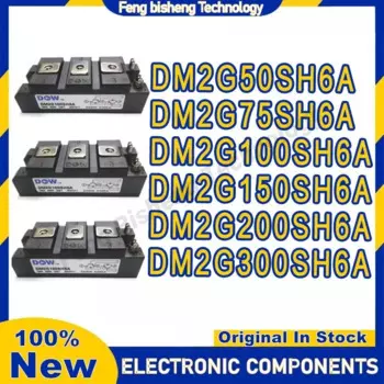 Модуль памяти DM2G50SH6A DM2G75SH6A DM2G100SH6A DM2G150SH6A DM2G200SH6A DM2G300SH6A