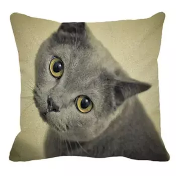 Наволочка для дивана British Shorthair Cat Cotton Linen 45x45 см