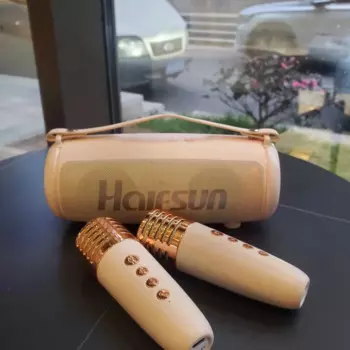 Новая беспроводная стереоколонка Bluetooth, портативная внешняя супер искусственная Колонка для караоке с 2 микрофонами