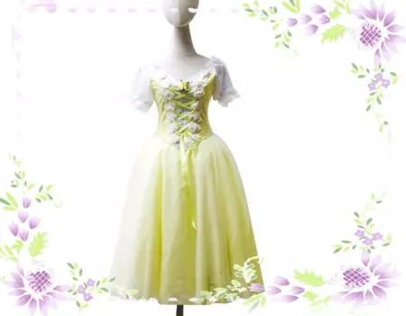 Новые балетные леггинсы Танцы платье девушки тюль-юбки tulle Танцы одежда BT-27