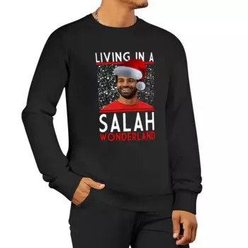 Пуловер с капюшоном Living In A Salah Wonderland, рубашка с капюшоном, мужская толстовка