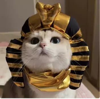 Шапка для косплея кота и собаки, египетский фараон на Хэллоуин, костюм питомца на Хэллоуин, веселое пальто для щенка, праздничные аксессуары, украшение на Хэллоуин
