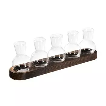 Стеклянная ваза для гидропоники Hydroponics Glass Vase