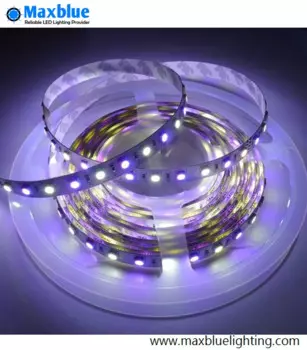 Светодиодная лента 5050SMD RGBW, 5 метров, 12 В постоянного тока, 4 канала, 300 светодиодов, высокая яркость, RGB + белый цвет, неводонепроницаемая Светодиодная лента