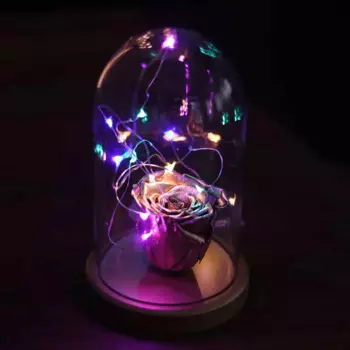 Светодиодный ночник с подсветкой, неоновые золотые невыцветающие розовые светильники, украшение для рождественской вечеринки, домашний декор, подарок на день Святого Валентина Проектор светильник Genshin Impact ночник