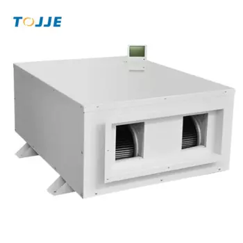 TOJJE DJDD-2481E высококачественный промышленный осушитель 240 л/д для теплиц