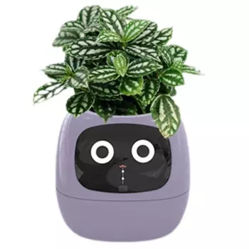 Умный горшок Ivy, USB перезаряжаемый домашний маленький цветочный горшок для украшения помещения, выращивание растений, легко и весело