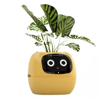 Умный горшок Ivy, заряжаемый от USB маленький горшок для цветов для украшения помещений делает растение легким и веселым