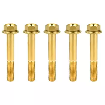 Xingxi титановые болты M10x20 5 шт.
