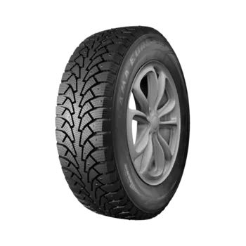 Автомобильные зимние шины Кама