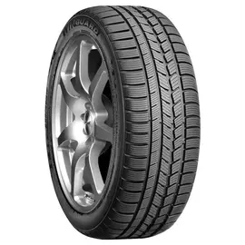 Автомобильные зимние шины Nexen