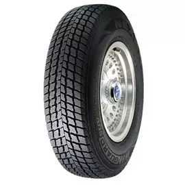 Автомобильные зимние шины Nexen