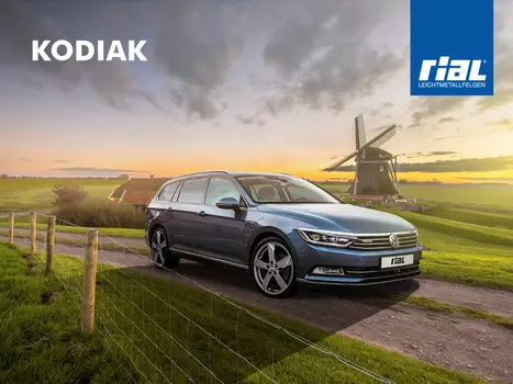 Литые колесные диски Rial