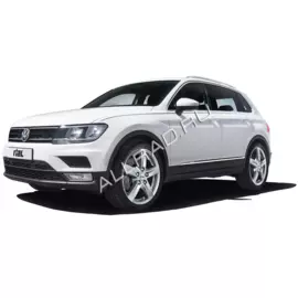 Литые колесные диски Rial