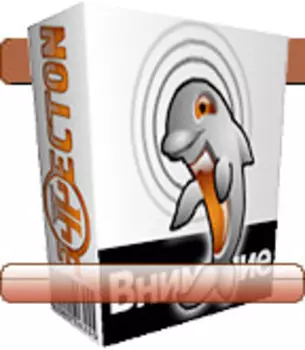 Effecton Studio - Профориентация