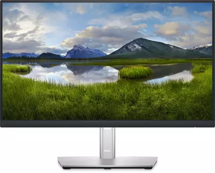 Монитор Dell Technologies P2222H 21.5-inch серебристый