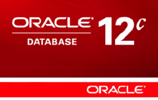 Oracle Database 2 Standard Edition