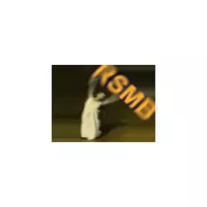 ReelSmart Motion Blur GUI