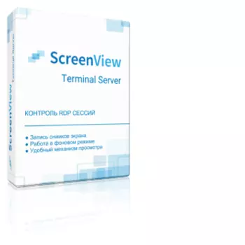 ScreenView Terminal Server