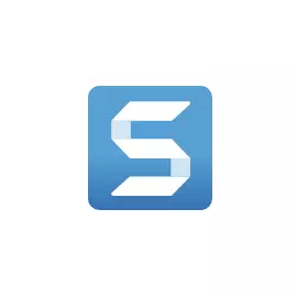 SnagIt 21