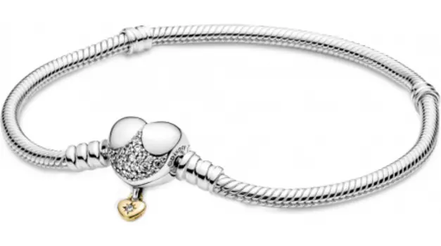 Браслеты PANDORA 569563C01