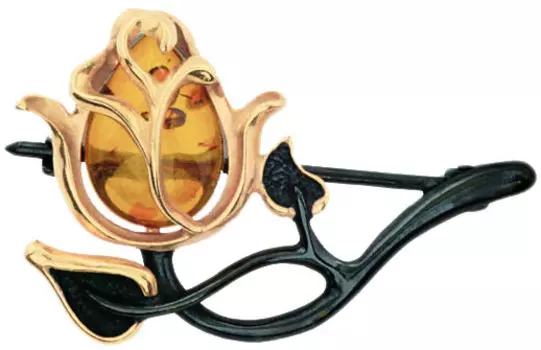 Броши Балтийское золото 75162001-bz