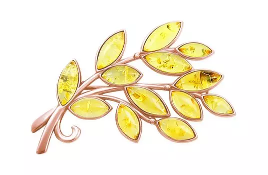 Броши Darvin 927022142AA