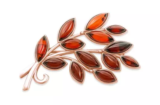 Броши Darvin 927042142AA