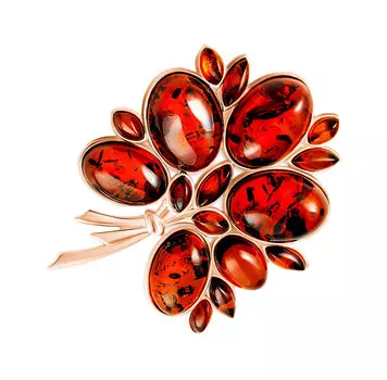 Броши Darvin 927042143AA