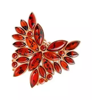 Броши Darvin 927042164AA