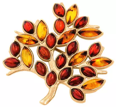 Броши Darvin 927062690AA