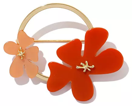 Броши Exclaim 036R2756BR