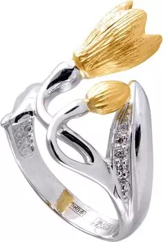 Кольца Альдзена K-14057