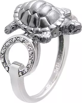 Кольца Альдзена K-25037